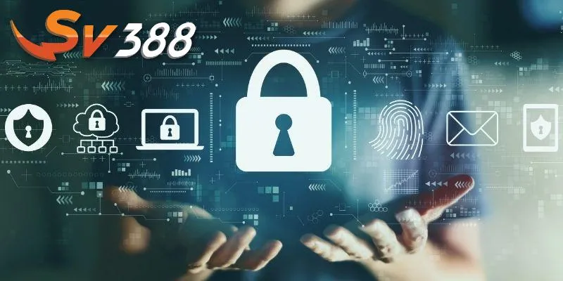 Chính sách bảo mật cho thấy sự cải tiến của nền tảng