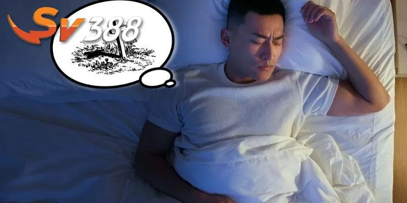 Giải mã giấc mơ chi tiết Giải mã giấc mơ chi tiết