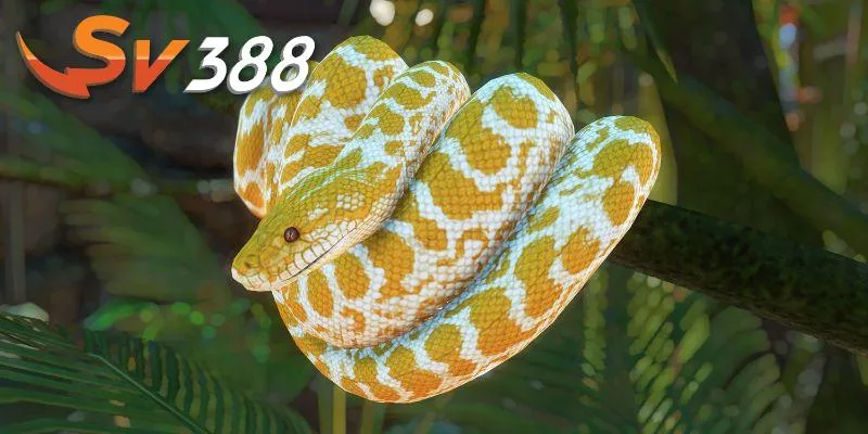 Tận dụng giấc mơ thấy rắn thắng lớn tại SV388 Tận dụng giấc mơ thấy rắn thắng lớn tại SV388