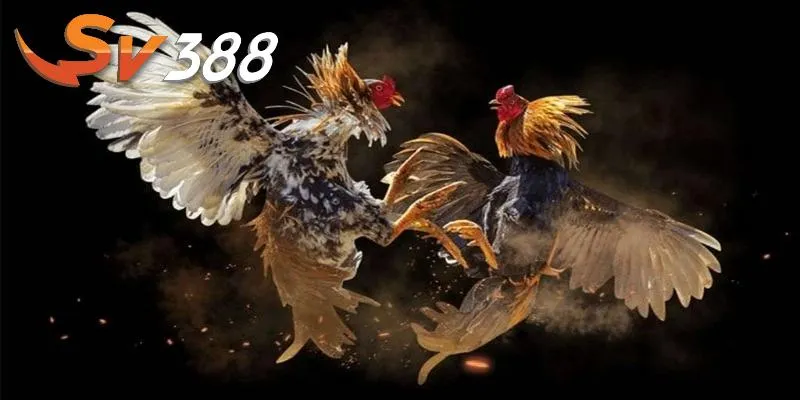 Thao tác tham gia cá cược cùng thương hiệu SV388 dễ dàng