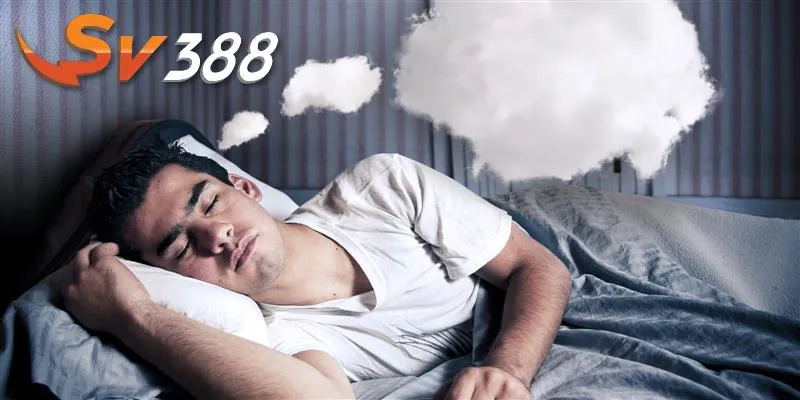 Ứng dụng giấc mơ và một số lời khuyên tại SV388 Ứng dụng giấc mơ và một số lời khuyên tại SV388