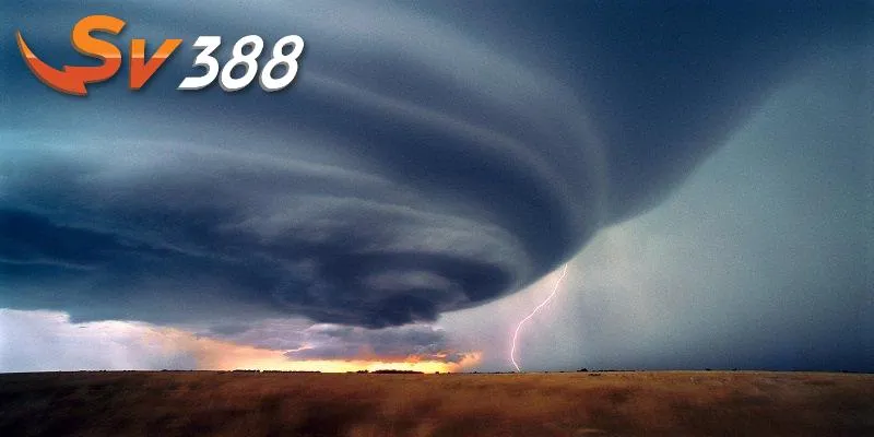 Ý nghĩa giấc mơ mang đến nhiều thông tin hữu ích Ý nghĩa giấc mơ mang đến nhiều thông tin hữu ích