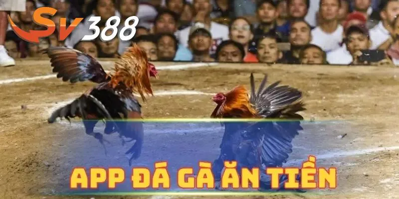 app đá gà Sv388