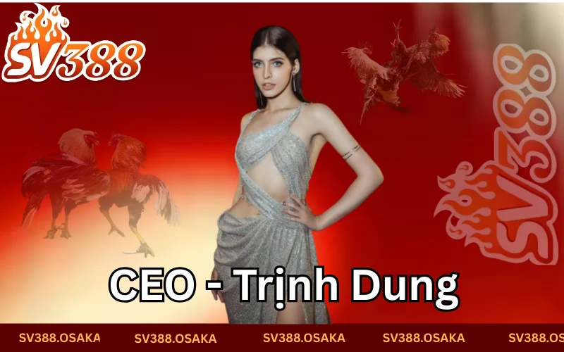 CEO Trịnh Dung cùng hành trình khởi nghiệp CEO Trịnh Dung cùng hành trình khởi nghiệp