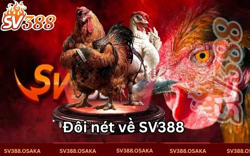 Đôi nét về nền tảng đá gà SV388 