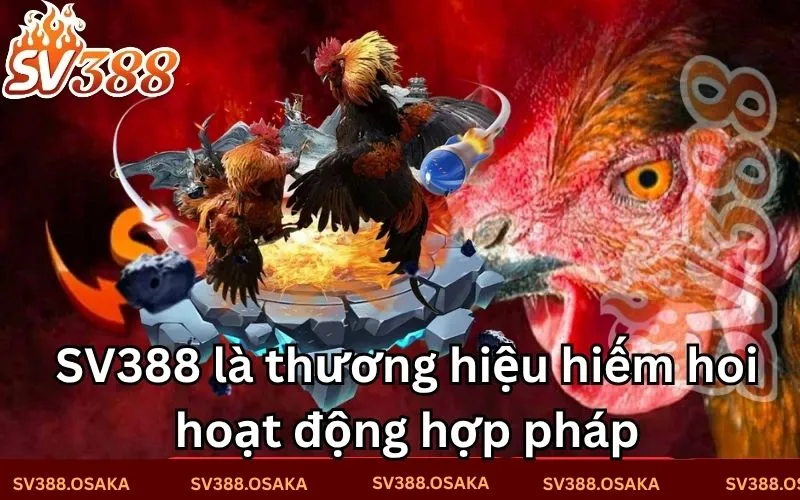 SV388 là thương hiệu hiếm hoi hoạt động hợp pháp